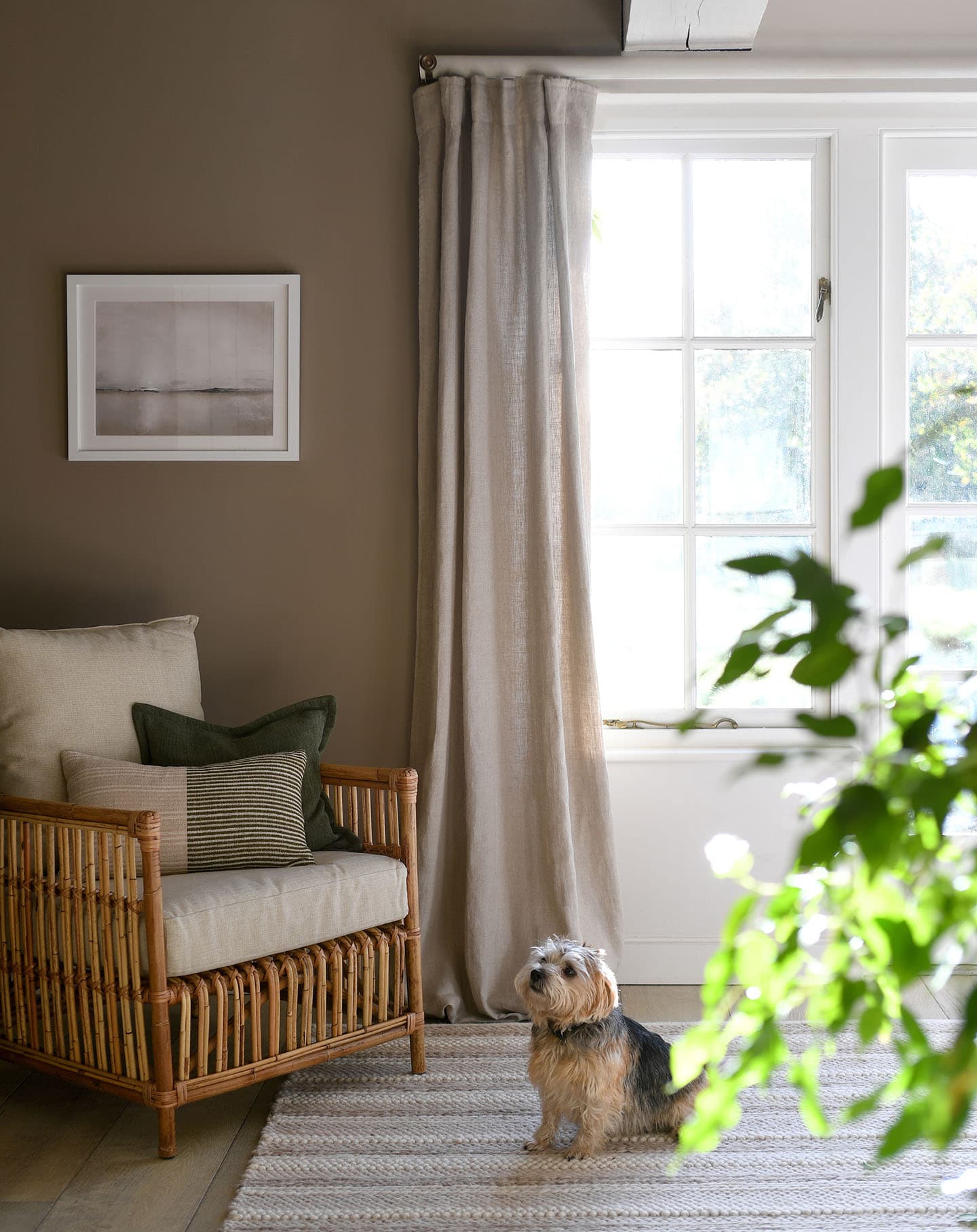 Cozy room with a wicker chair, cushions, framed art, and potted plant. A small dog sits on a striped rug by the window.