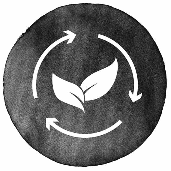 Sustainable icon
