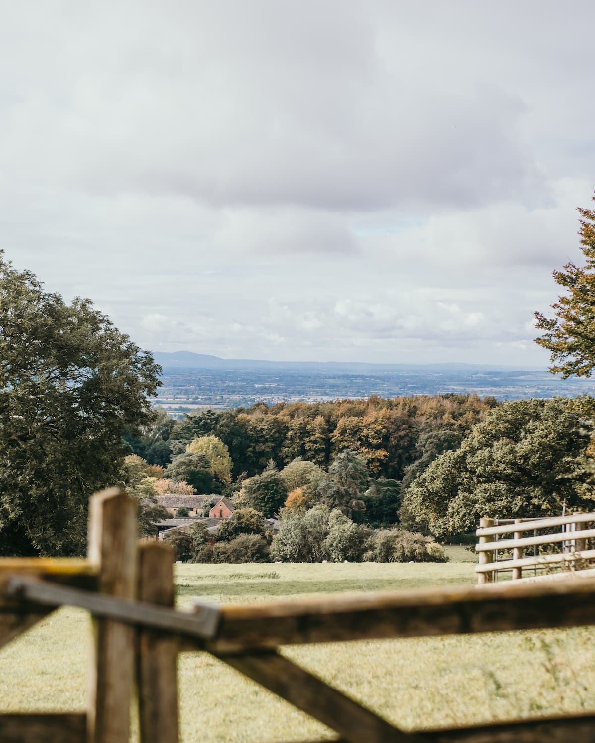 Countryside Landscape Scene, B Corp Certified