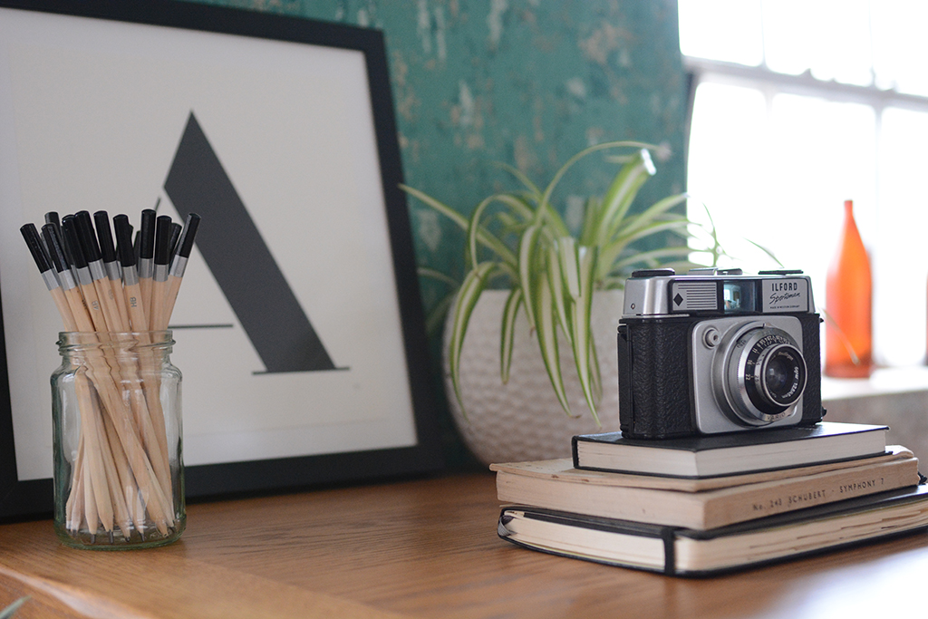 Vintage Camera, monchrome print, pencils in a pot, spider plant, diary, books, oak, green wall
