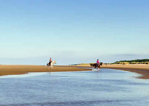 Beach Proud, Holkham beach, Holkham, Norfolk, Horses