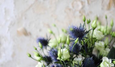 lisianthus, thistles, aging wall, styling, flowers