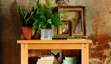 Oak bookcase, rustic oak, rustic wall, antique golden frames, blue pottery, fern2