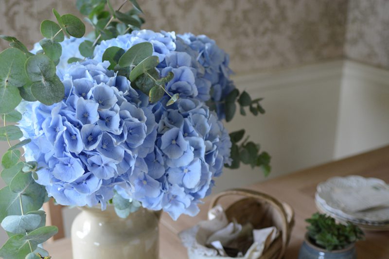 blue hydrangeas, eucalyptus, flowers, table, blooms2