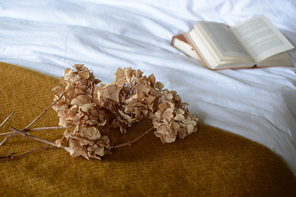 Dried Hydrangeas, dried flowers, vintage bedroom, bed, mustart throw